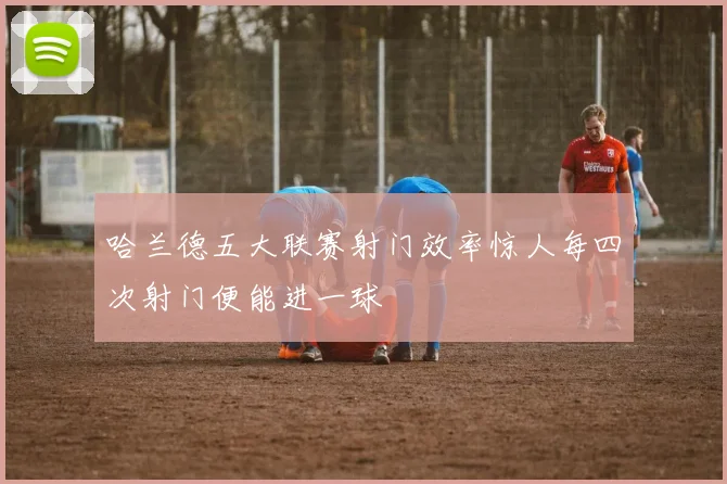 哈兰德五大联赛射门效率惊人每四次射门便能进一球