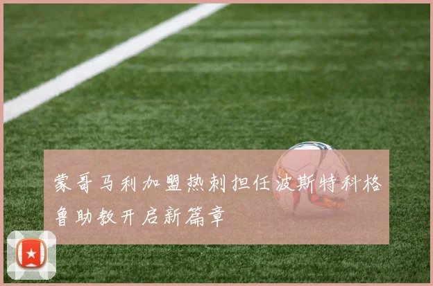 蒙哥马利加盟热刺担任波斯特科格鲁助教开启新篇章