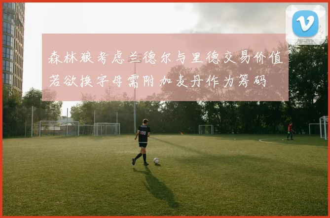 森林狼考虑兰德尔与里德交易价值若欲换字母需附加麦丹作为筹码