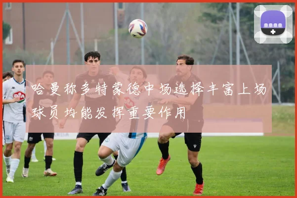 哈曼称多特蒙德中场选择丰富上场球员均能发挥重要作用